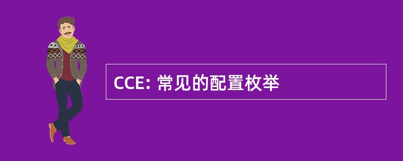 CCE: 常见的配置枚举