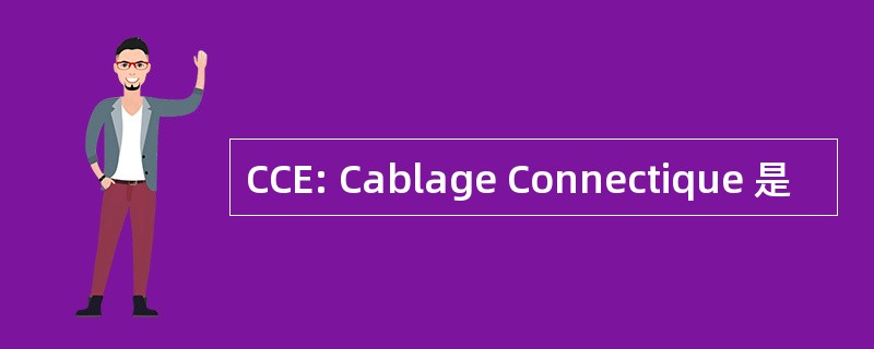 CCE: Cablage Connectique 是