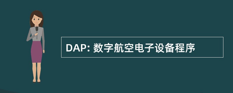 DAP: 数字航空电子设备程序