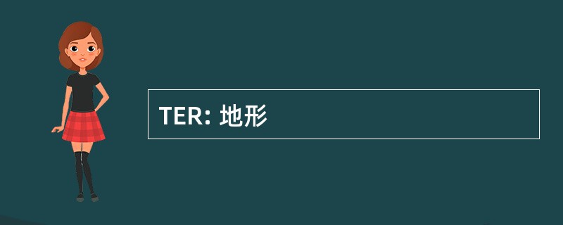 TER: 地形