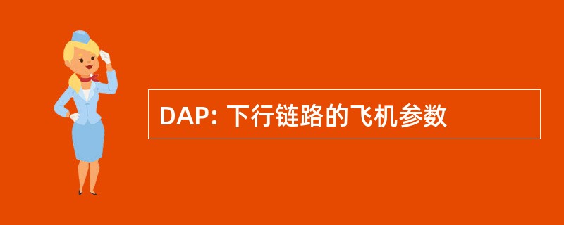 DAP: 下行链路的飞机参数