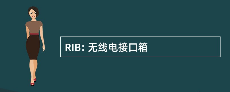 RIB: 无线电接口箱