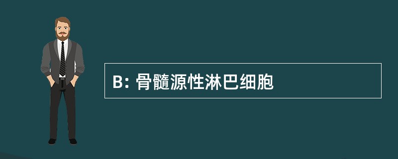 B: 骨髓源性淋巴细胞