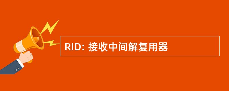 RID: 接收中间解复用器