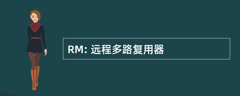 RM: 远程多路复用器