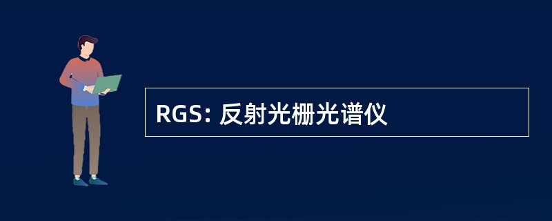 RGS: 反射光栅光谱仪