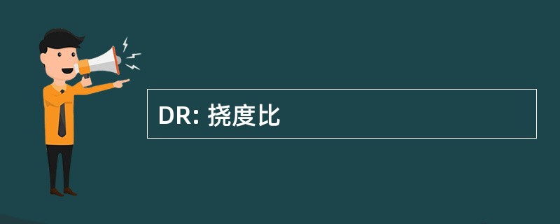 DR: 挠度比