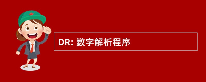 DR: 数字解析程序