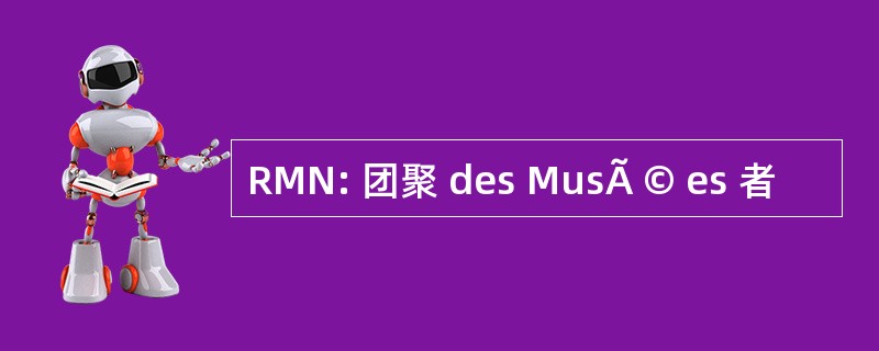 RMN: 团聚 des MusÃ © es 者