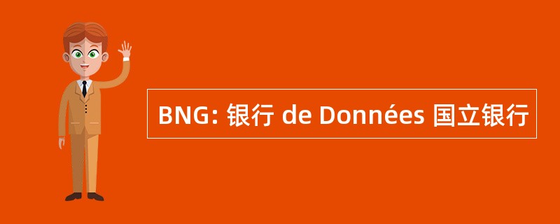 BNG: 银行 de Données 国立银行