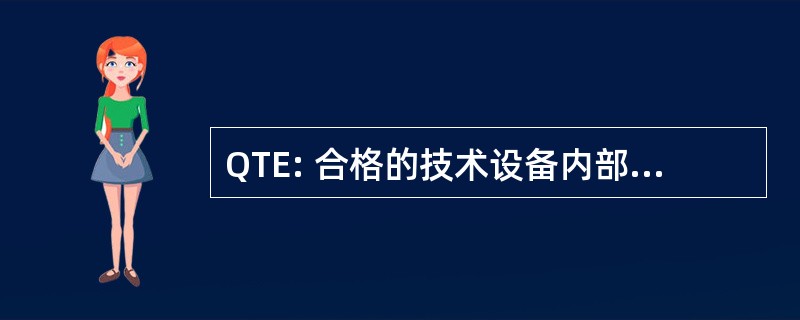 QTE: 合格的技术设备内部收入代码)