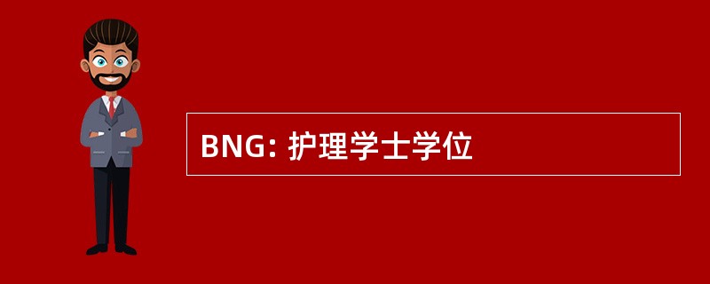 BNG: 护理学士学位