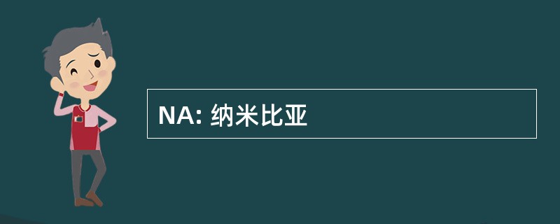 NA: 纳米比亚