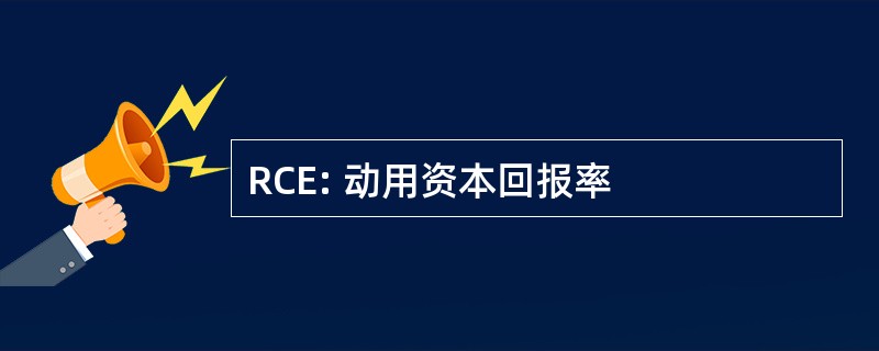 RCE: 动用资本回报率