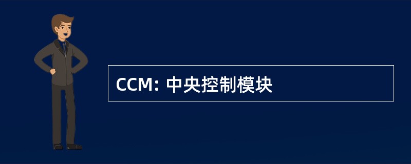 CCM: 中央控制模块