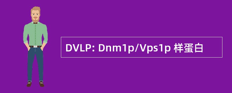 DVLP: Dnm1p/Vps1p 样蛋白