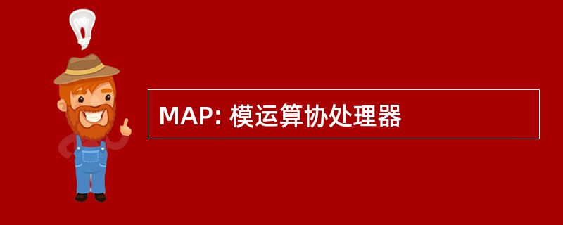 MAP: 模运算协处理器