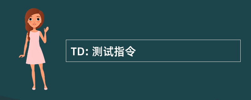 TD: 测试指令