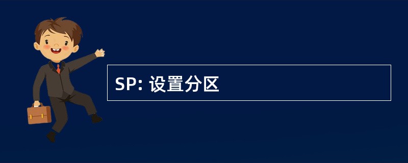 SP: 设置分区