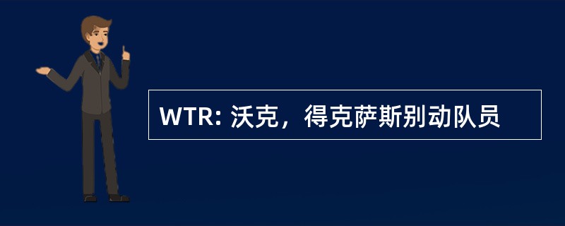 WTR: 沃克，得克萨斯别动队员