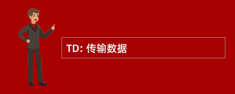 TD: 传输数据