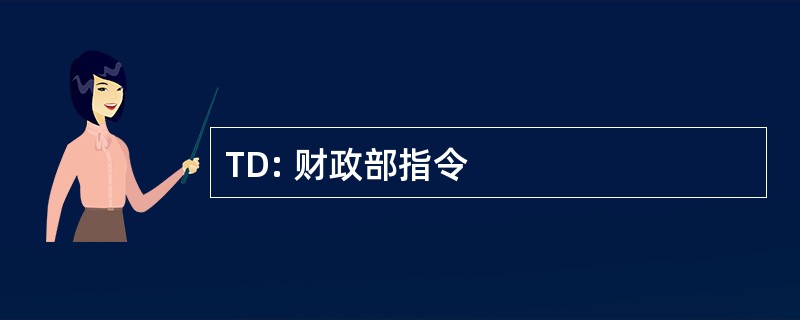 TD: 财政部指令