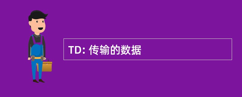 TD: 传输的数据