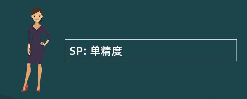 SP: 单精度