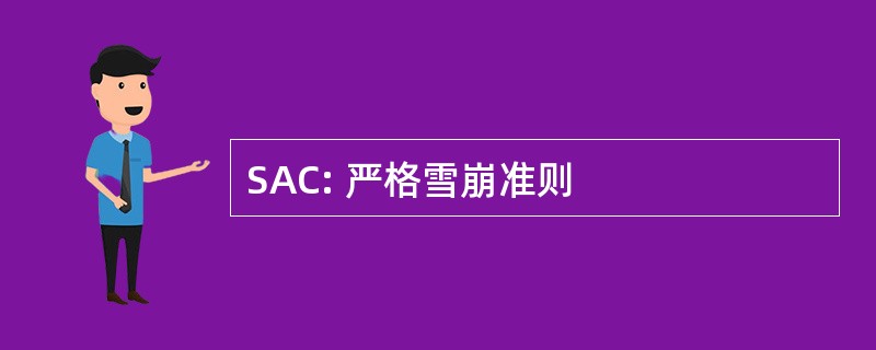 SAC: 严格雪崩准则