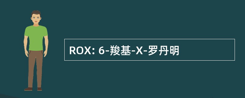 ROX: 6-羧基-X-罗丹明