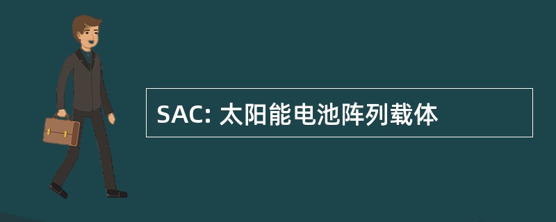 SAC: 太阳能电池阵列载体