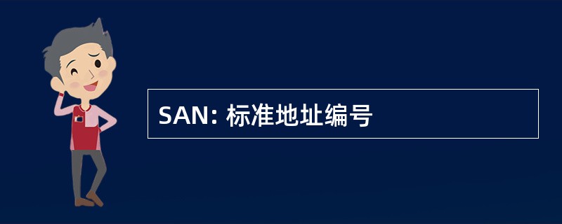 SAN: 标准地址编号