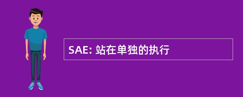 SAE: 站在单独的执行