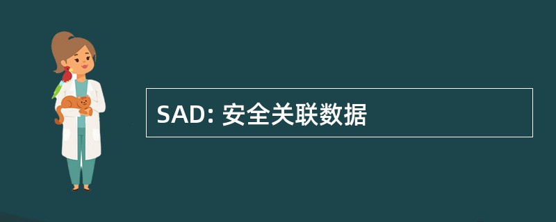 SAD: 安全关联数据