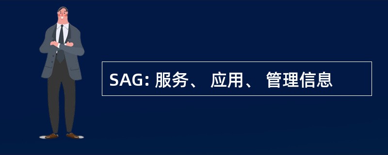 SAG: 服务、 应用、 管理信息