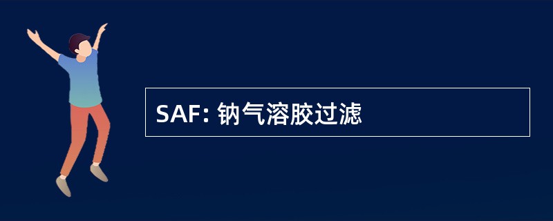 SAF: 钠气溶胶过滤