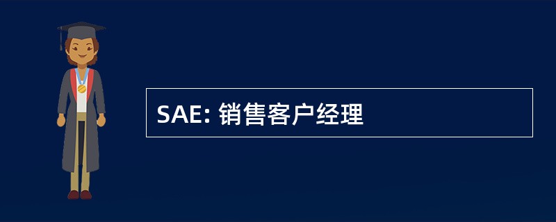 SAE: 销售客户经理