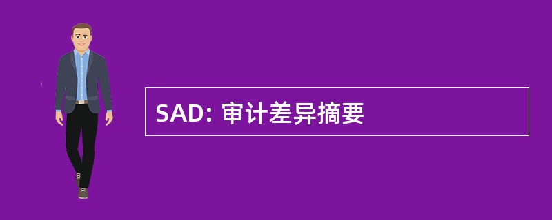 SAD: 审计差异摘要