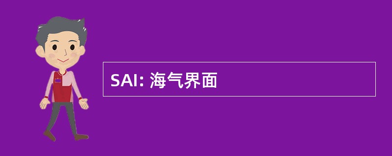 SAI: 海气界面