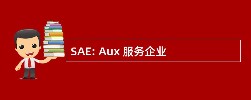 SAE: Aux 服务企业