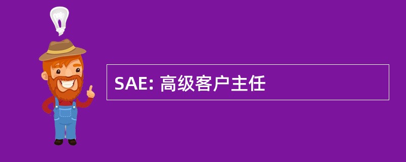 SAE: 高级客户主任