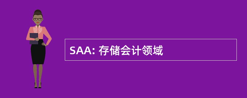 SAA: 存储会计领域