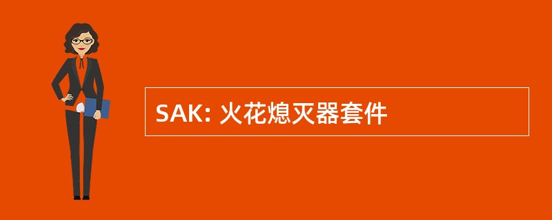 SAK: 火花熄灭器套件