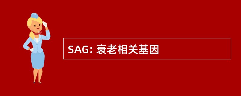 SAG: 衰老相关基因