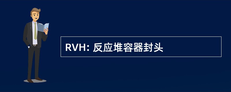 RVH: 反应堆容器封头