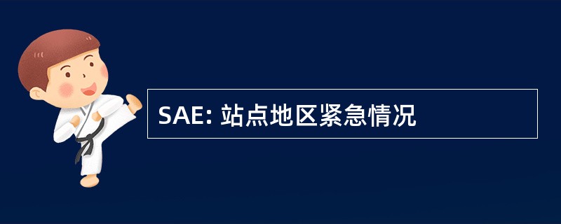 SAE: 站点地区紧急情况