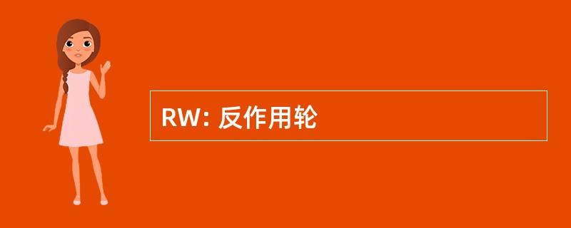 RW: 反作用轮