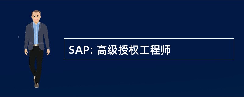 SAP: 高级授权工程师