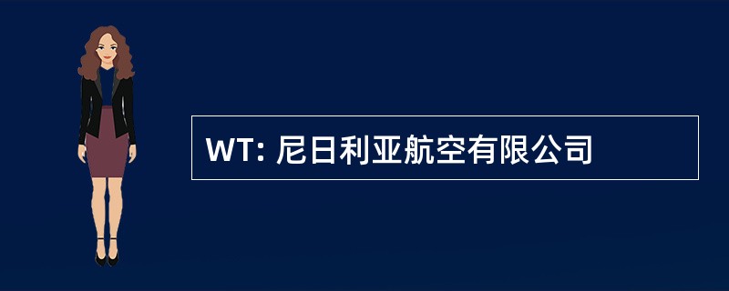 WT: 尼日利亚航空有限公司