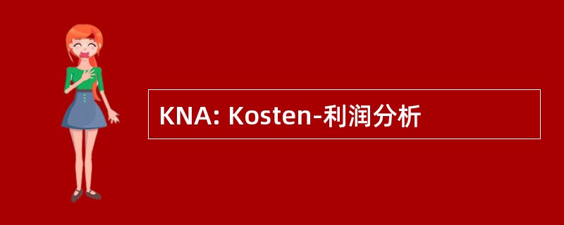 KNA: Kosten-利润分析